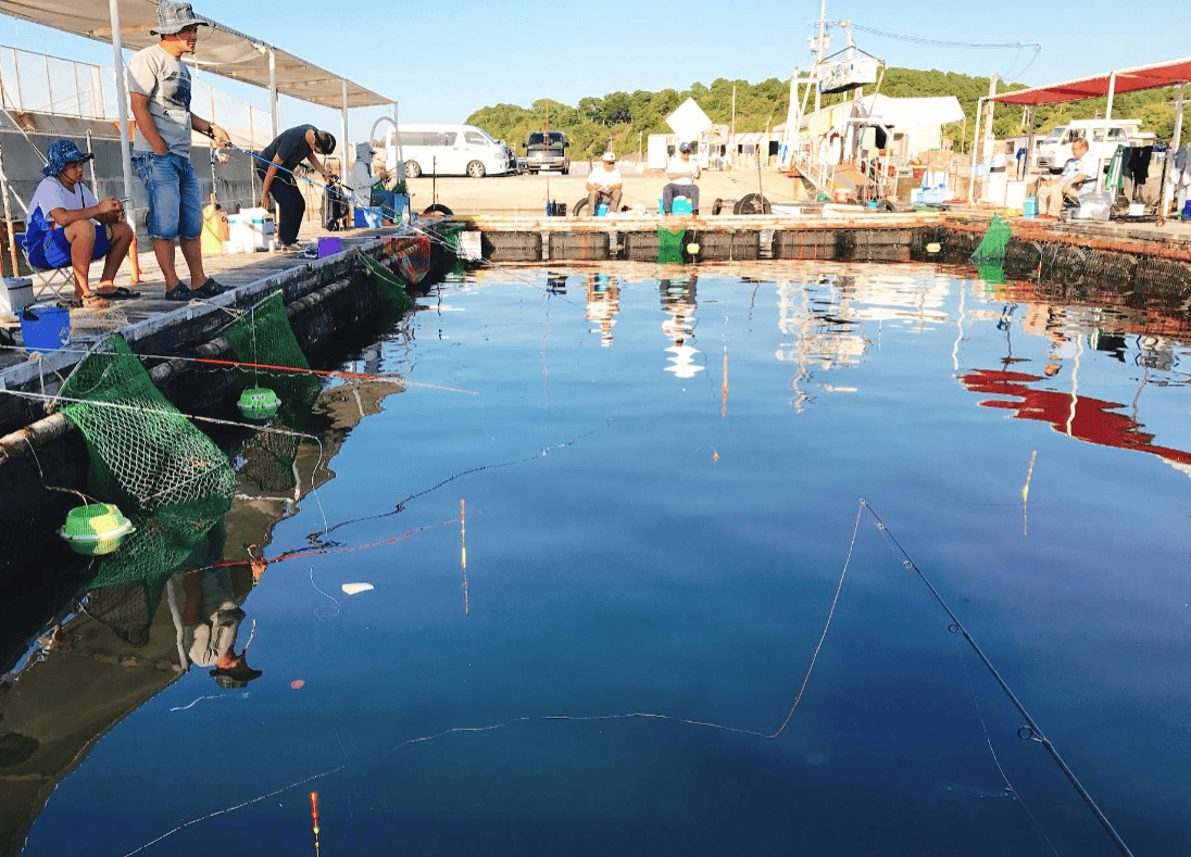 海上釣り堀　岬