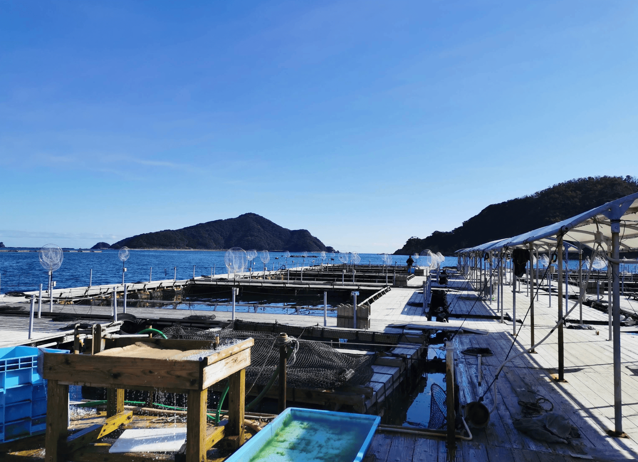 かまえ海上釣り堀 釣っちゃ王