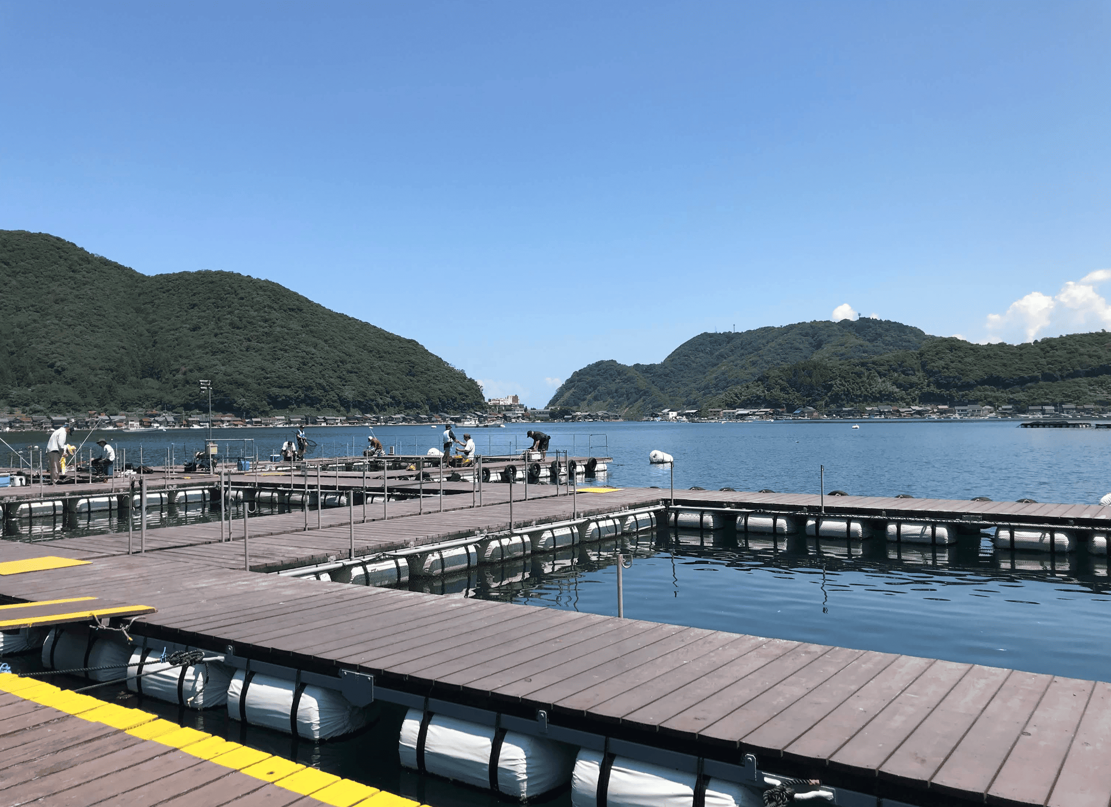 フィッシングレインボー