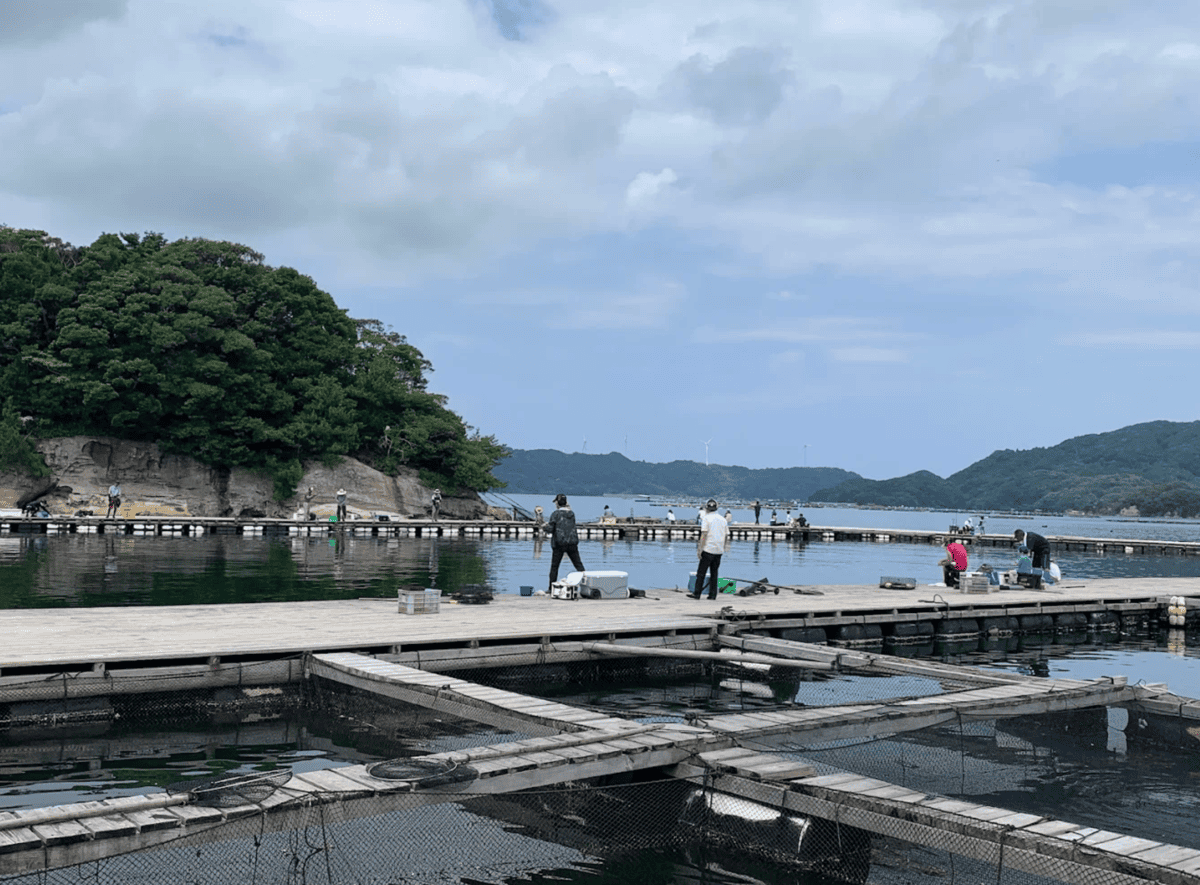 仮屋湾遊魚センター