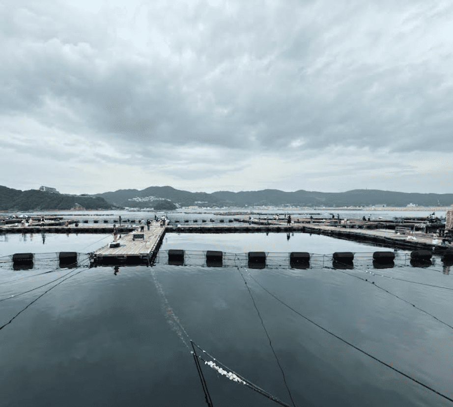 淡路じゃのひれフィッシングパーク