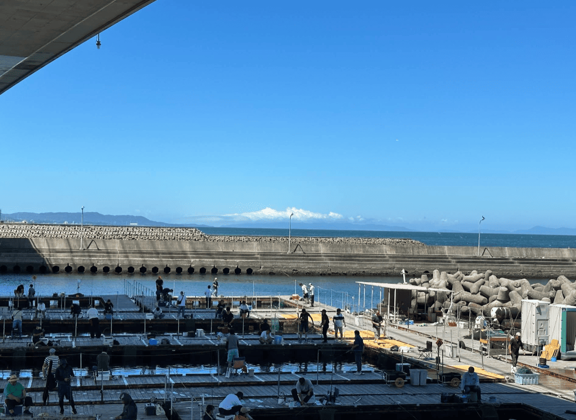 海釣ポート 田尻