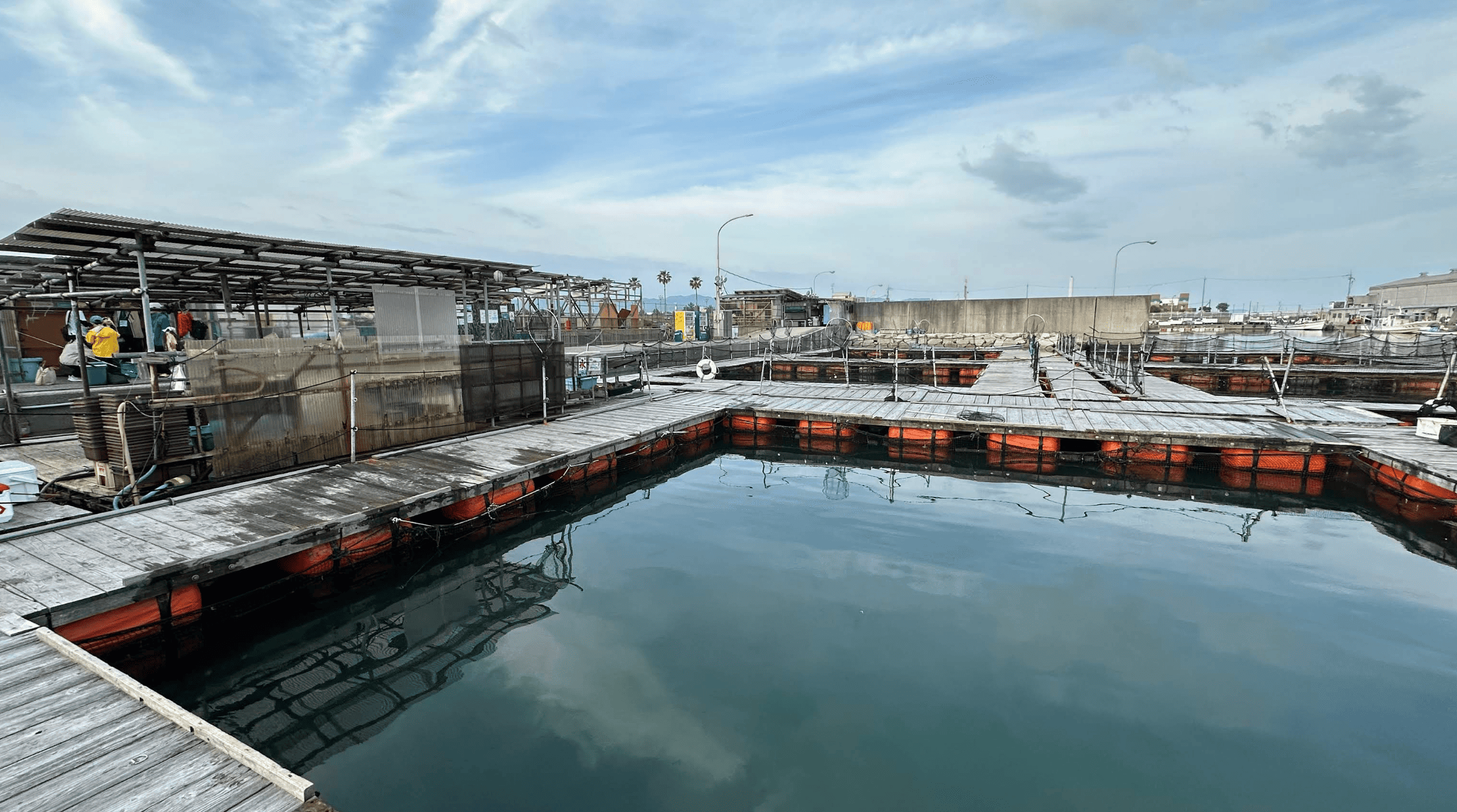 大阪海上釣堀サザン